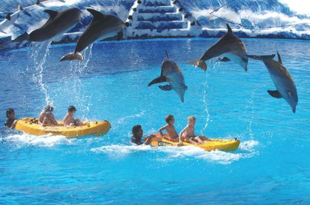 Cometa Center Benidorm Exterior foto